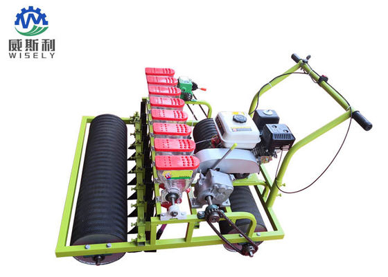 چین موتور بنزینی 8 ردیف ماشین های ماشین سبز سالاد استفاده می شود در کشاورزی تامین کننده